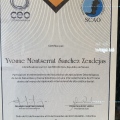 Ampliar imagen: certificate 2