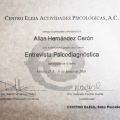 Ampliar imagen: certificate 8