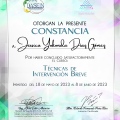 Ampliar imagen: certificate 7
