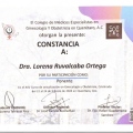 Ampliar imagen: certificate 4