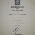 Ampliar imagen: certificate 9