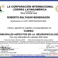 Ampliar imagen: certificate 9
