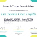 Ampliar imagen: certificate 3