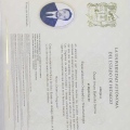 Ampliar imagen: certificate 2