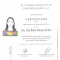 Ampliar imagen: certificate 4