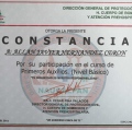 Ampliar imagen: certificate 6