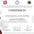 Ampliar imagen: certificate 9