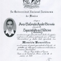 Ampliar imagen: certificate 8