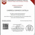 Ampliar imagen: certificate 2