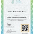 Ampliar imagen: certificate 7