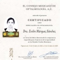 Ampliar imagen: certificate 1