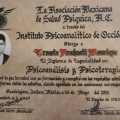 Ampliar imagen: certificate 8