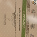 Ampliar imagen: certificate 8