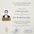 Ampliar imagen: certificate 1
