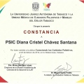 Ampliar imagen: certificate 4