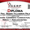 Ampliar imagen: certificate 11