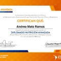 Ampliar imagen: certificate 8