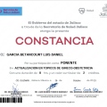 Ampliar imagen: certificate 8