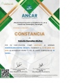 Ampliar imagen: certificate 5