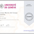Ampliar imagen: certificate 3