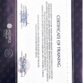 Ampliar imagen: certificate 3
