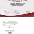 Ampliar imagen: certificate 7