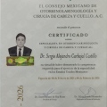 Ampliar imagen: certificate 1