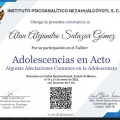 Ampliar imagen: certificate 4