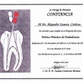 Ampliar imagen: certificate 3