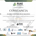 Ampliar imagen: certificate 2