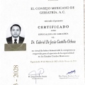 Ampliar imagen: certificate 49