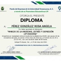 Ampliar imagen: certificate 2