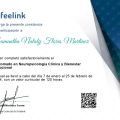 Ampliar imagen: certificate 3