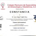 Ampliar imagen: certificate 22
