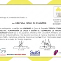Ampliar imagen: certificate 2