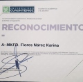 Ampliar imagen: certificate 5