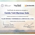 Ampliar imagen: certificate 2