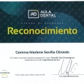Ampliar imagen: certificate 3