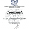 Ampliar imagen: certificate 9