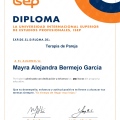 Ampliar imagen: certificate 1