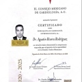 Ampliar imagen: certificate 2