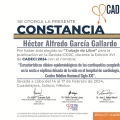 Ampliar imagen: certificate 9
