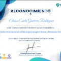 Ampliar imagen: certificate 5