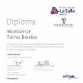 Ampliar imagen: certificate 6