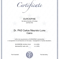 Ampliar imagen: certificate 2