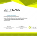 Ampliar imagen: certificate 9