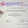 Ampliar imagen: certificate 4