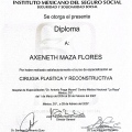 Ampliar imagen: certificate 3