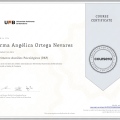 Ampliar imagen: certificate 5