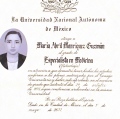 Ampliar imagen: certificate 2
